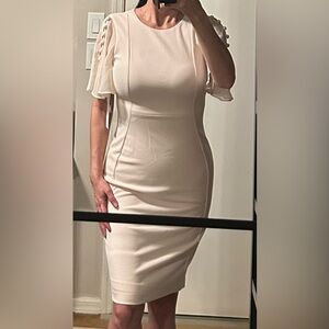 Calvin Klein Light Pink Knee-Length Sheath Dress with Chiffon Flutter Sleeves